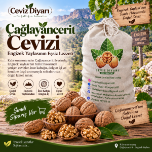 Çağlayancerit Cevizi